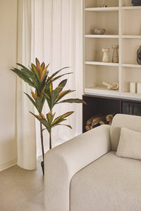 Dirbtinis augalas DRACENA iš priekio