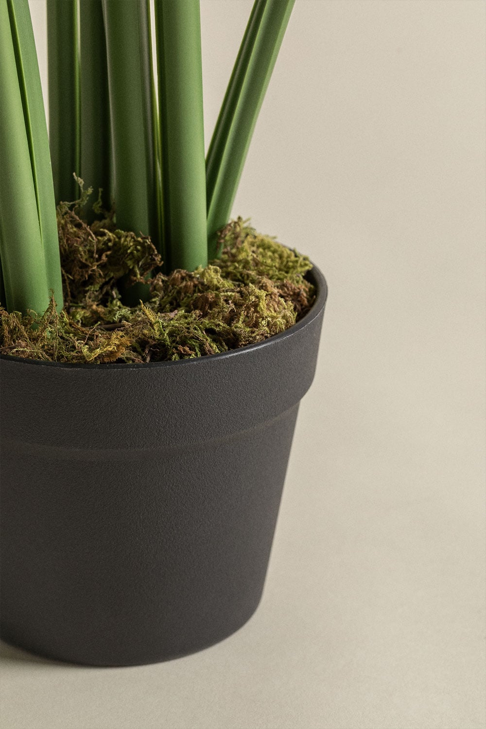 Dirbtinė monstera MONSTERA talpos demonstracija