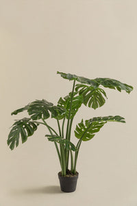 Dirbtinė monstera MONSTERA spalvos