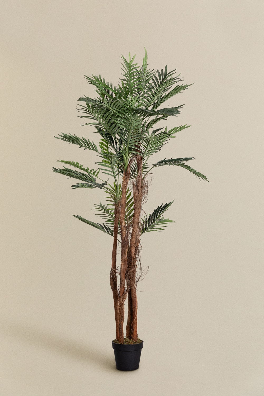 Dirbtinė palmė PALMERA realioje aplinkoje