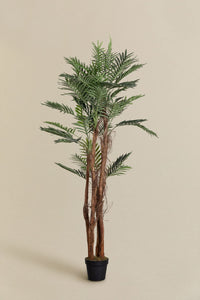 Dirbtinė palmė PALMERA realioje aplinkoje