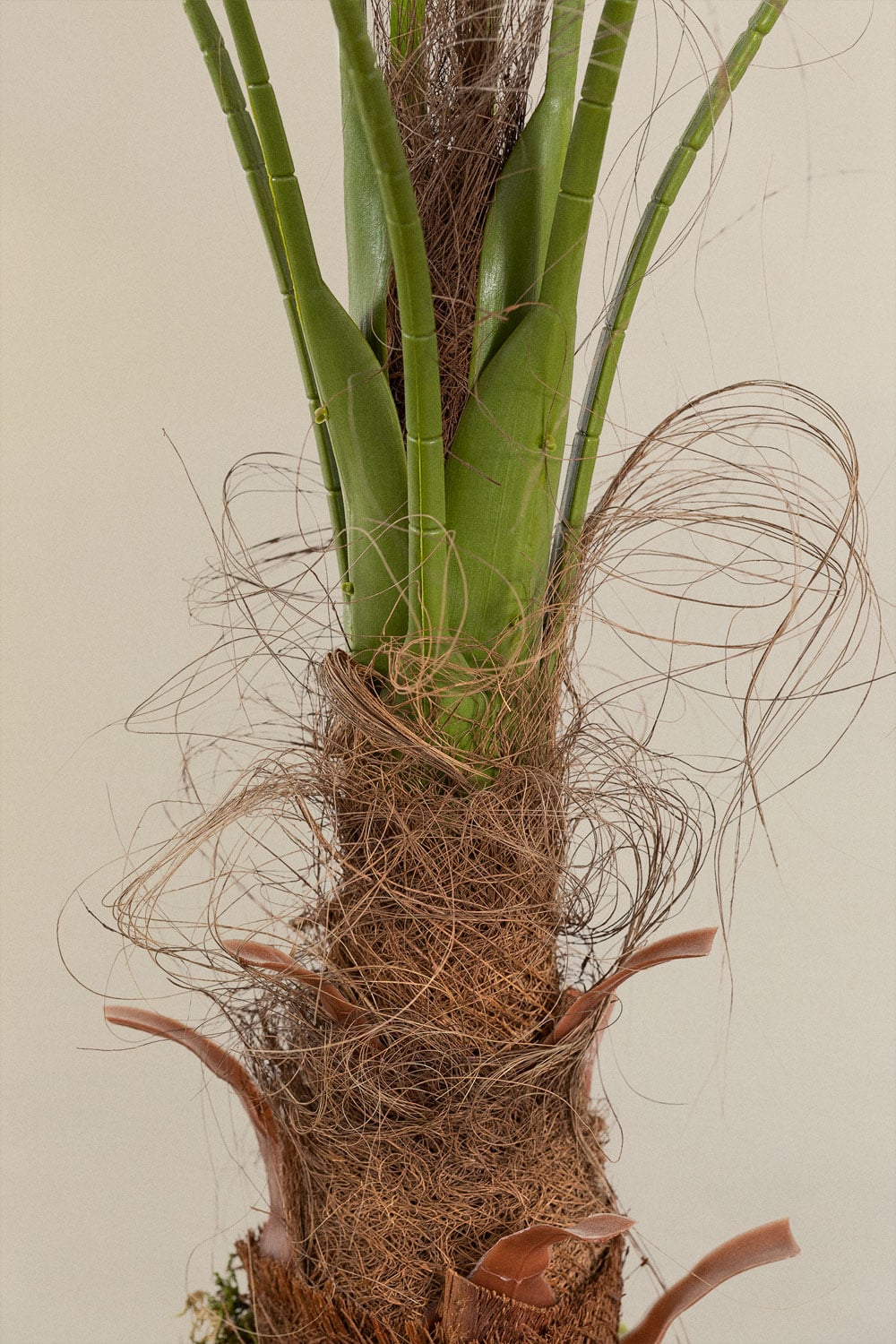 Dirbtinė palmė PALMERA atvirų ir uždarų skyrių vaizdas