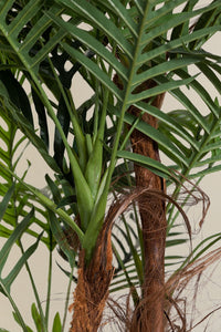 Dirbtinė palmė PALMERA kabinamos dalies detalė