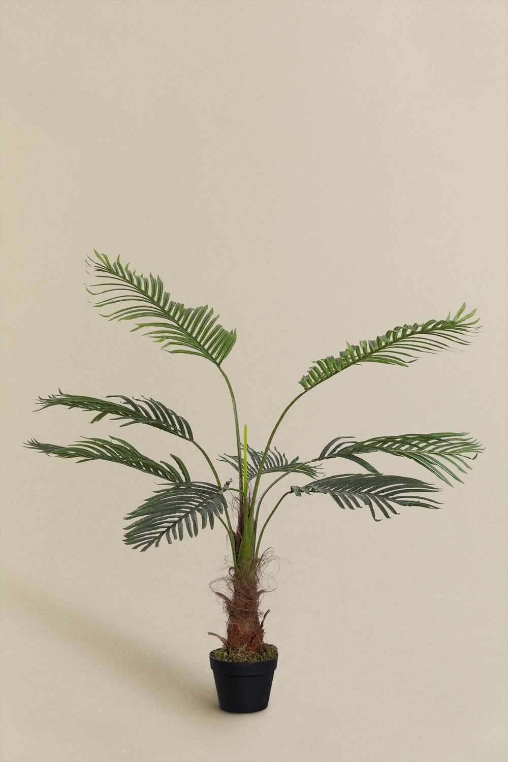 Dirbtinė palmė PALMERA moderniame svetainės interjere