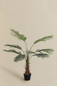 Dirbtinė palmė PALMERA moderniame svetainės interjere