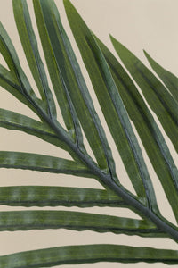 Dirbtinio augalo PALMENA artimas planas