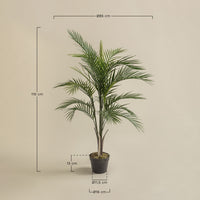 Dirbtinė palmė PALMENA, 110 cm