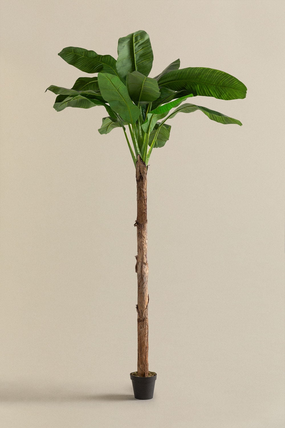 Dirbtinis medis Bananmedis, 330 cm