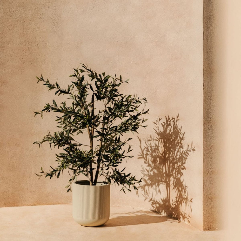 Vazonas POLISTO, polistounas, 55 cm