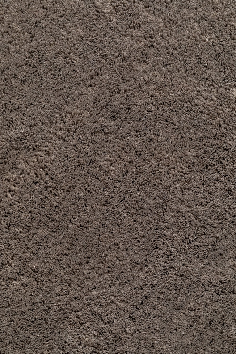 Kilimo DAROKA ant grindų, interjere