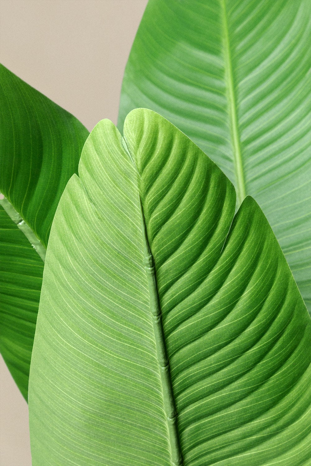 Dirbtinis augalas Bananmedis, 160 cm