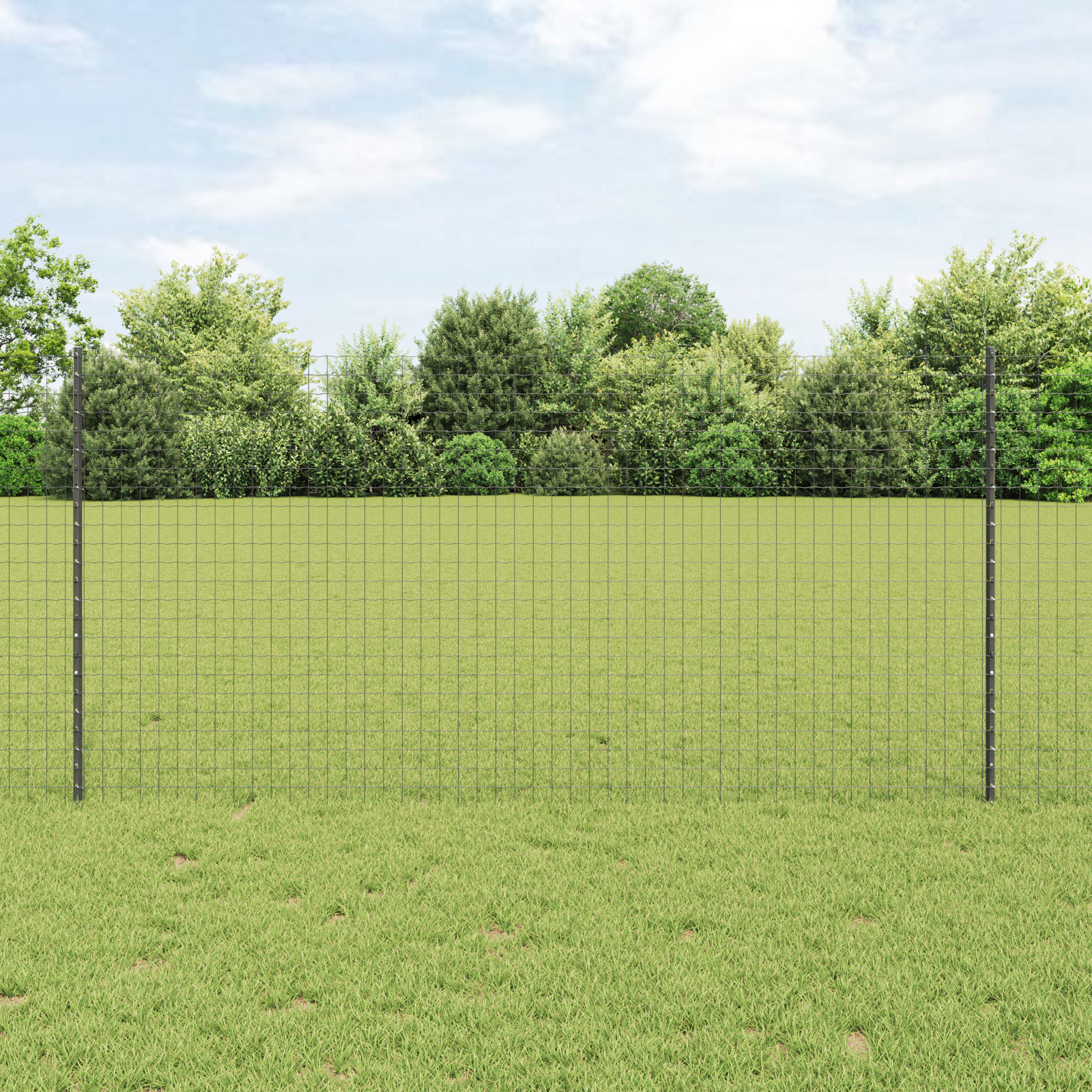 Tvorelės stulpas 5 pcs Pilka 120 cm Plienas
