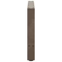 Kavos staliuko kojelės, 2 vnt., 70x(42 - 43) cm, natūralus plienas - Namų Idėja