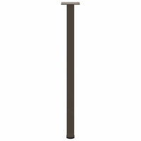 Konsolinio stalo kojos, 4 vnt., natūralus plienas, 72 - 74 cm, plienas - Namų Idėja