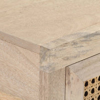 Konsolinis staliukas, 100x35x76cm, mango mediena ir nendrės - Namų Idėja