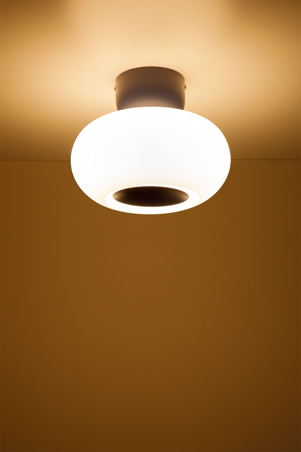 LED plafono DERUENTA bendras siluetas