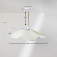 Pakabinamas šviestuvas OKERA, Sendinta balta, Ø60 cm