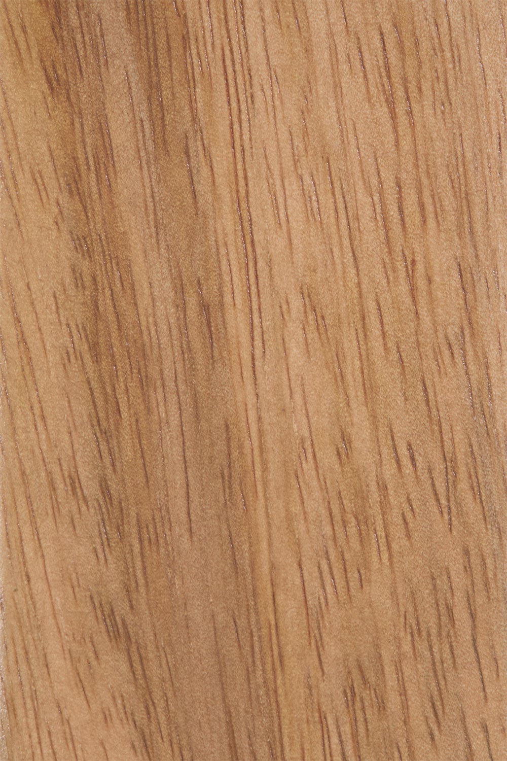 Sieninė lentyna LORIUNO, mango III