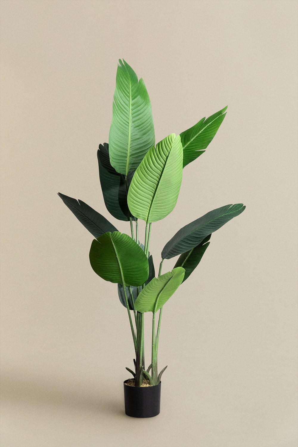 Dirbtinis augalas Bananmedis, 160 cm