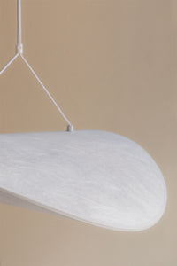 Pakabinamas LED šviestuvas ZELVANA