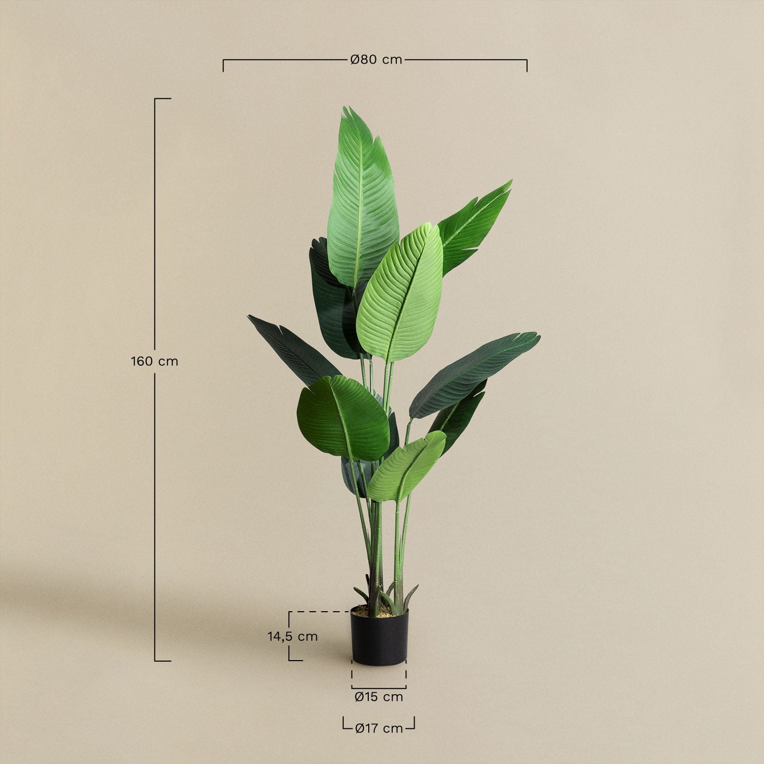 Dirbtinis augalas Bananmedis, 160 cm