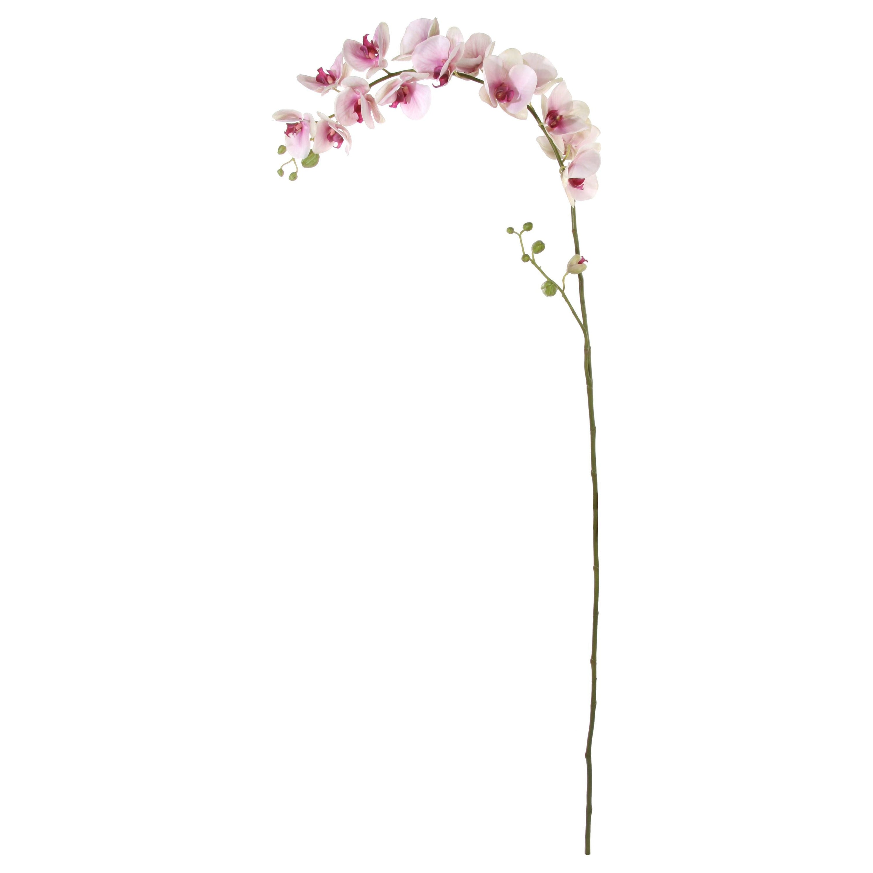 Dekoratyvinis augalas - orchidėjos šaka, 176 cm.