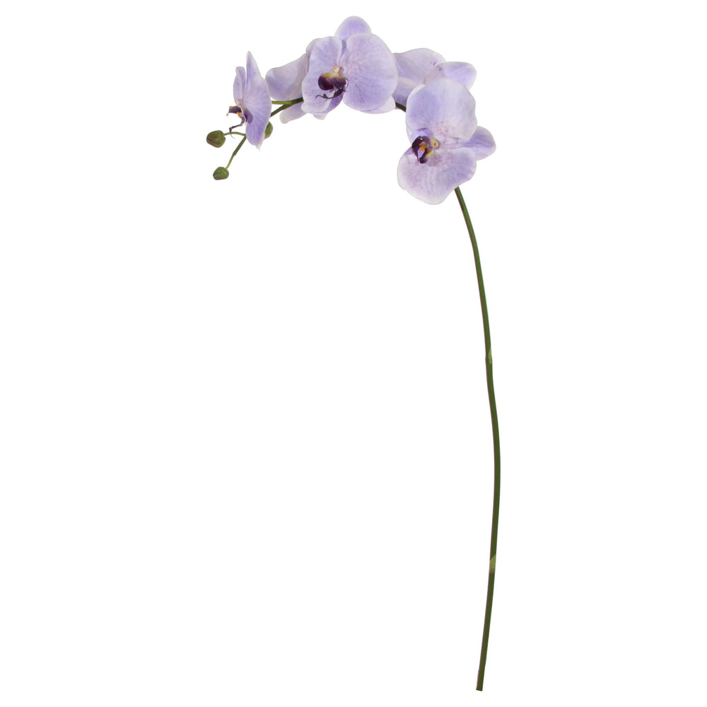 Dekoratyvinė orchidėjos šaka, violetinė spalva, 105 cm