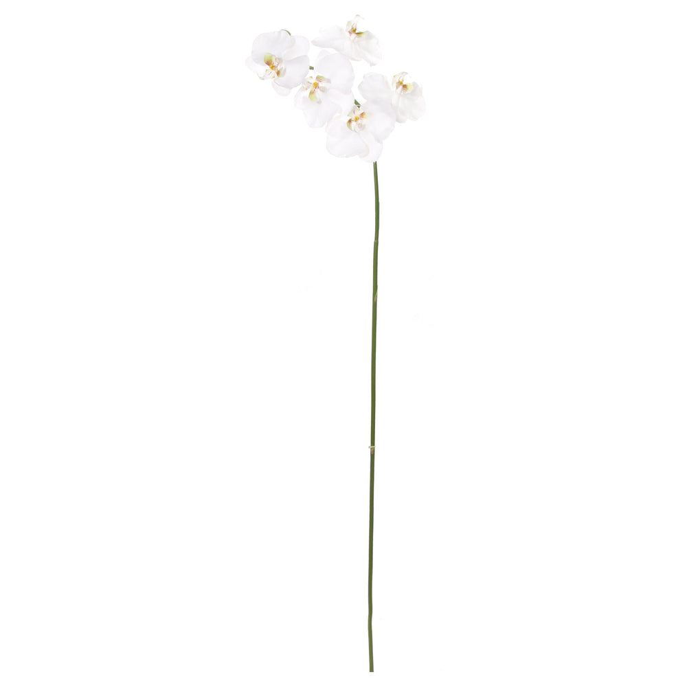 Dekoratyvinis augalas - orchidėjos šaka, 98 cm.