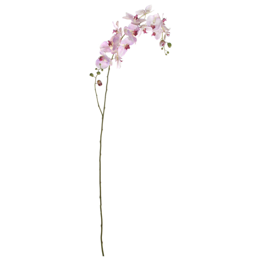 Dekoratyvinis augalas - orchidėjos šaka, 176 cm