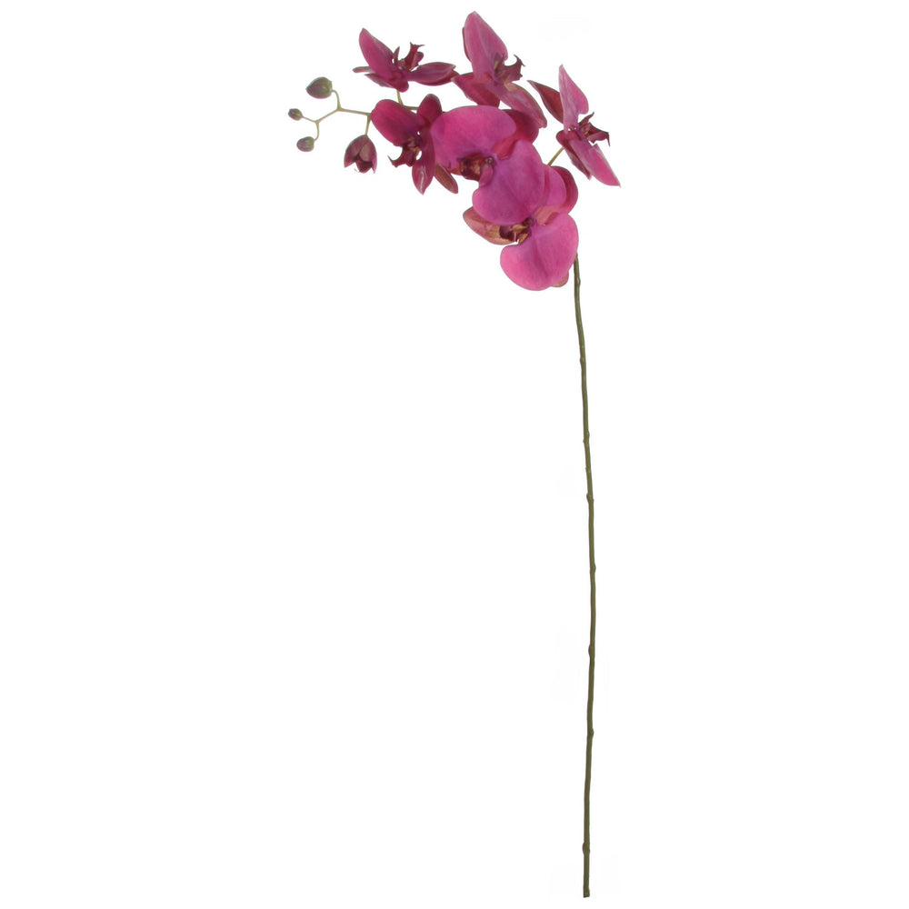Dekoratyvinis augalas - orchidėjos šaka, 103 cm.