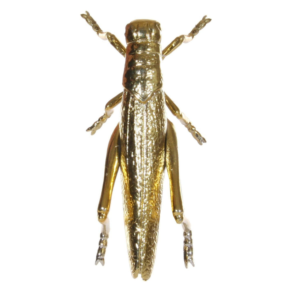 Dekoracija vabalas, auksinė spalva, 11 cm