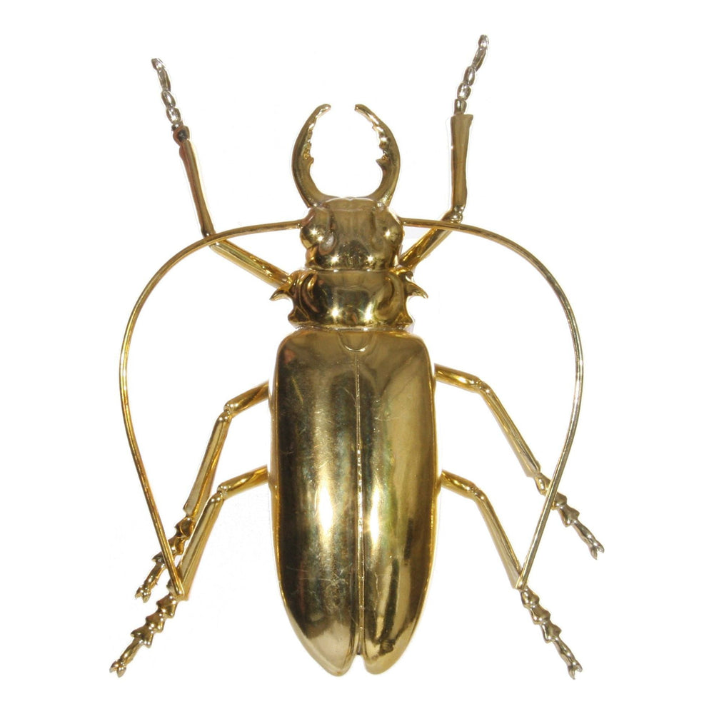 Dekoracija vabalas, auksinė spalva, 15 cm