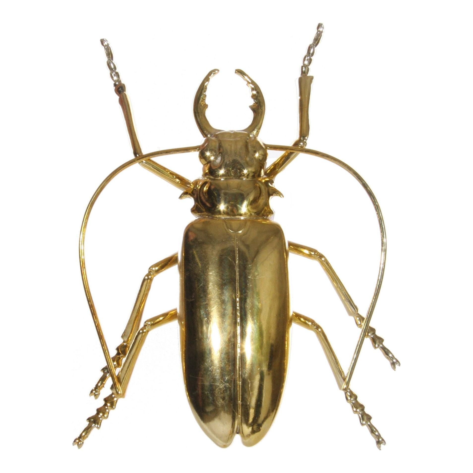 Dekoracija vabalas, auksinė spalva, 15 cm