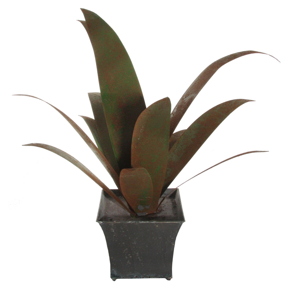 Dekoratyvinis augalas - Agava, 56 cm.