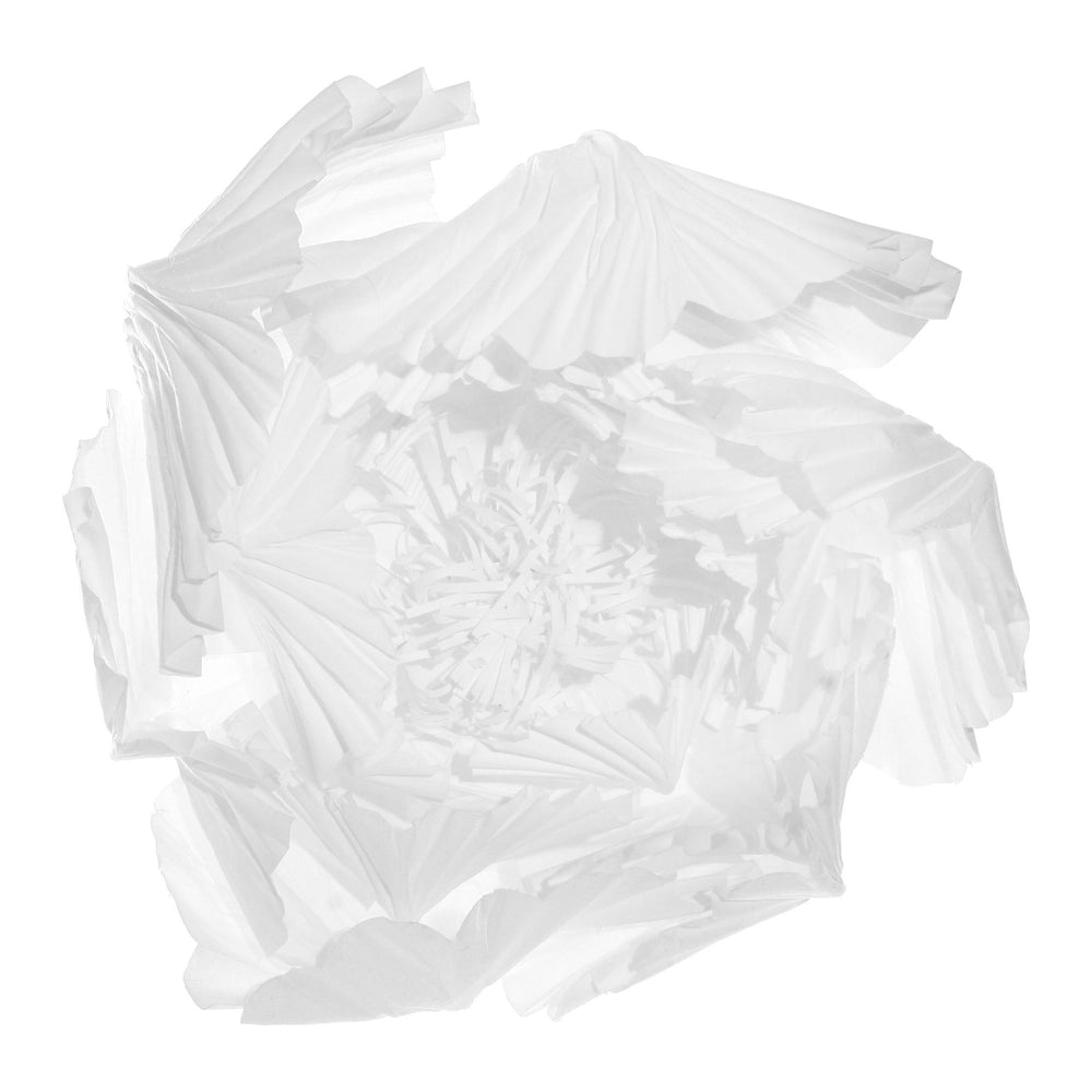 Dekoracija popierinis bijūnas, balta spalva, 30 cm