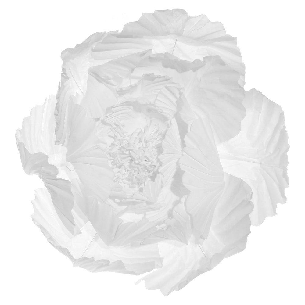 Dekoracija popierinis bijūnas, balta spalva, 40 cm
