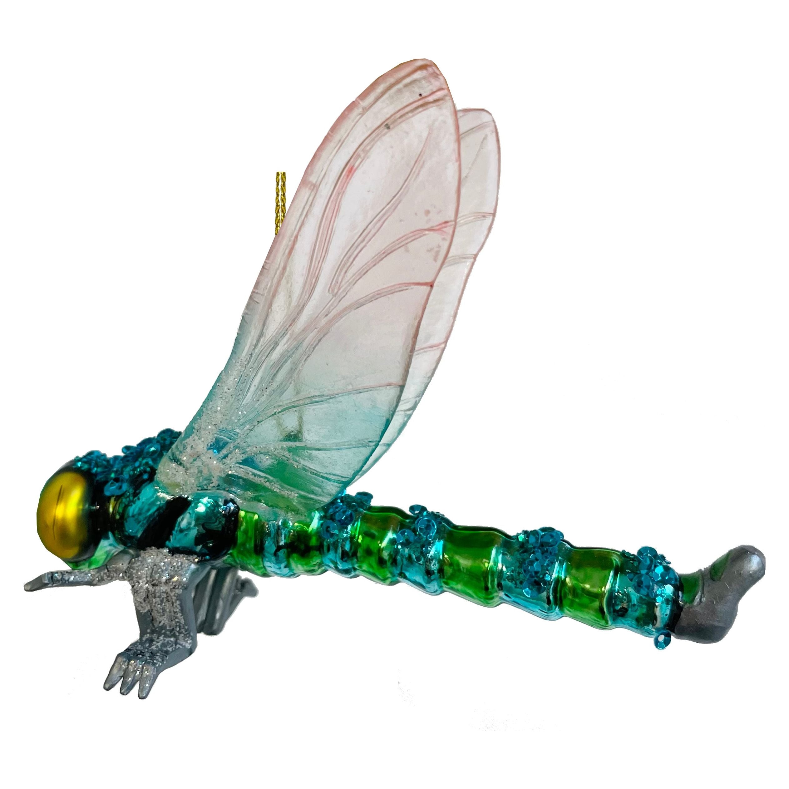Glasswing dragonfly