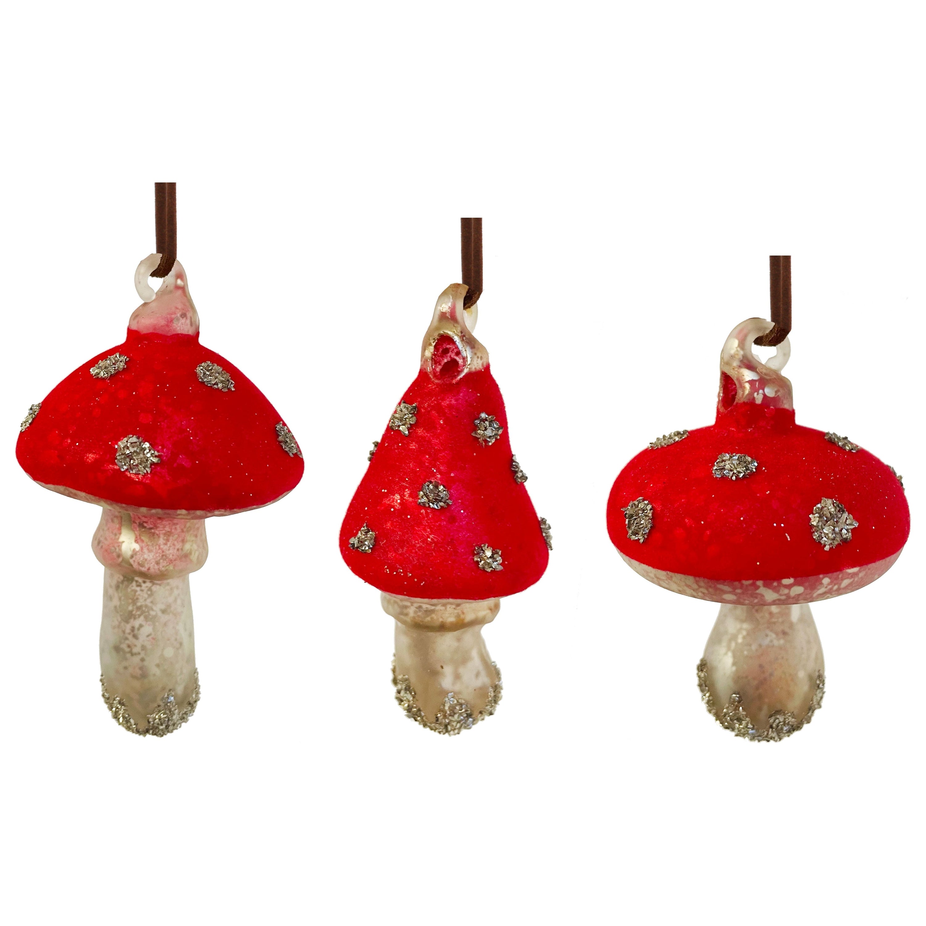 Stikliniai grybai, raudonas - auksas, 7-10cm