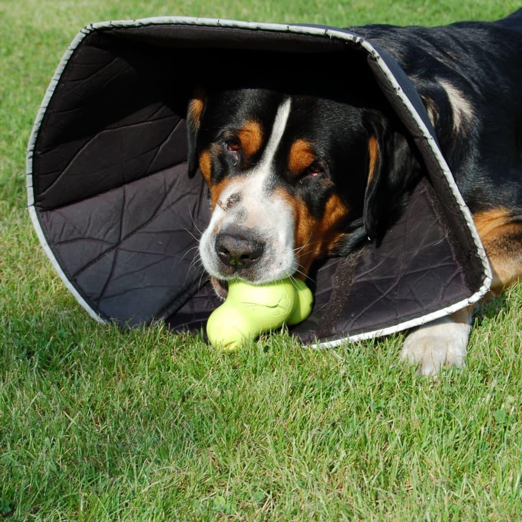 All Four Paws Apsauginė apykaklė Comfy Cone, juodos spalvos, 30cm, XL