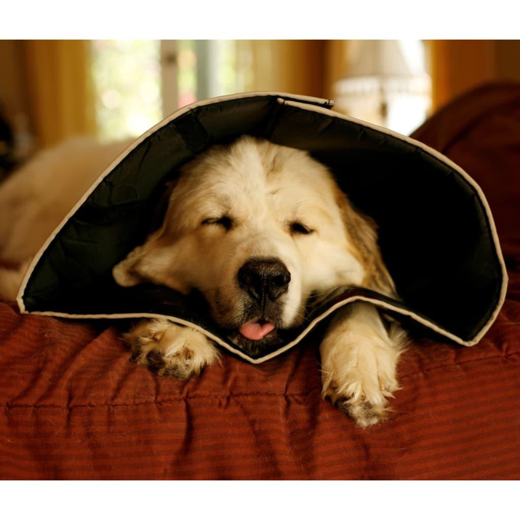 All Four Paws Apsauginė apykaklė Comfy Cone, juodos spalvos, 30cm, XL
