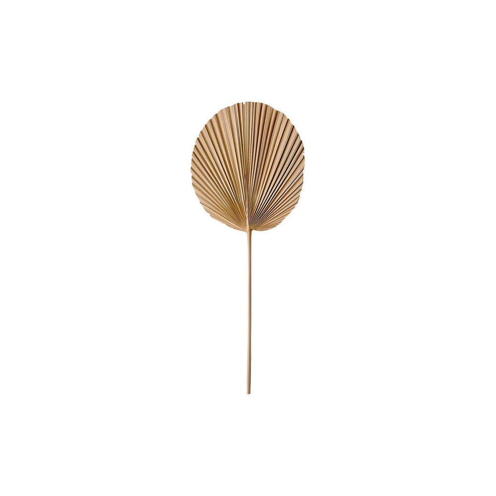 Dekoracija PLANTAE, 30x70 cm, natūrali spalva