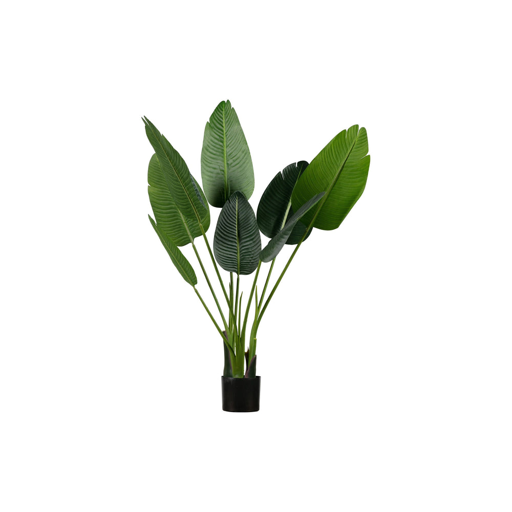 "STRELITZIA" dirbtinis augalas, žalia spalva, 108 cm