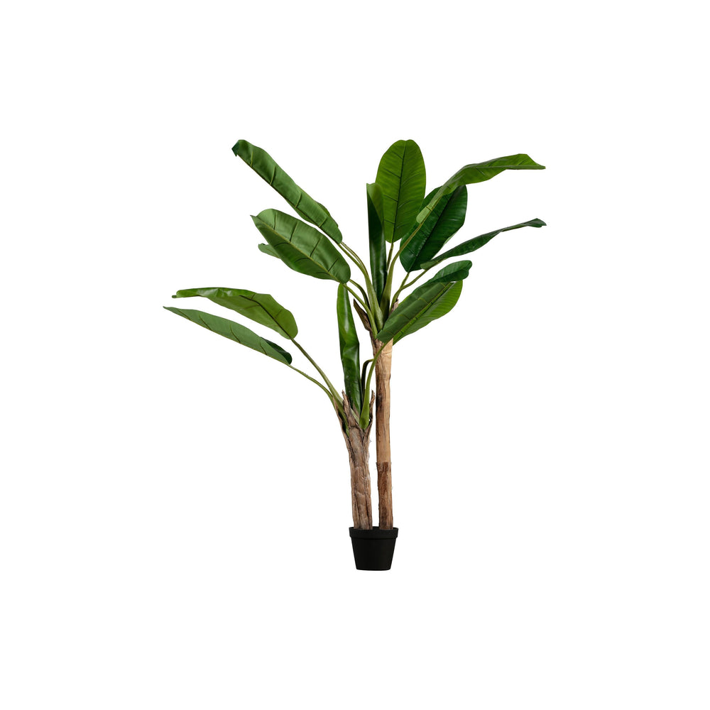 "BANANA" dirbtinis augalas vazone, žalia spalva, 138 cm