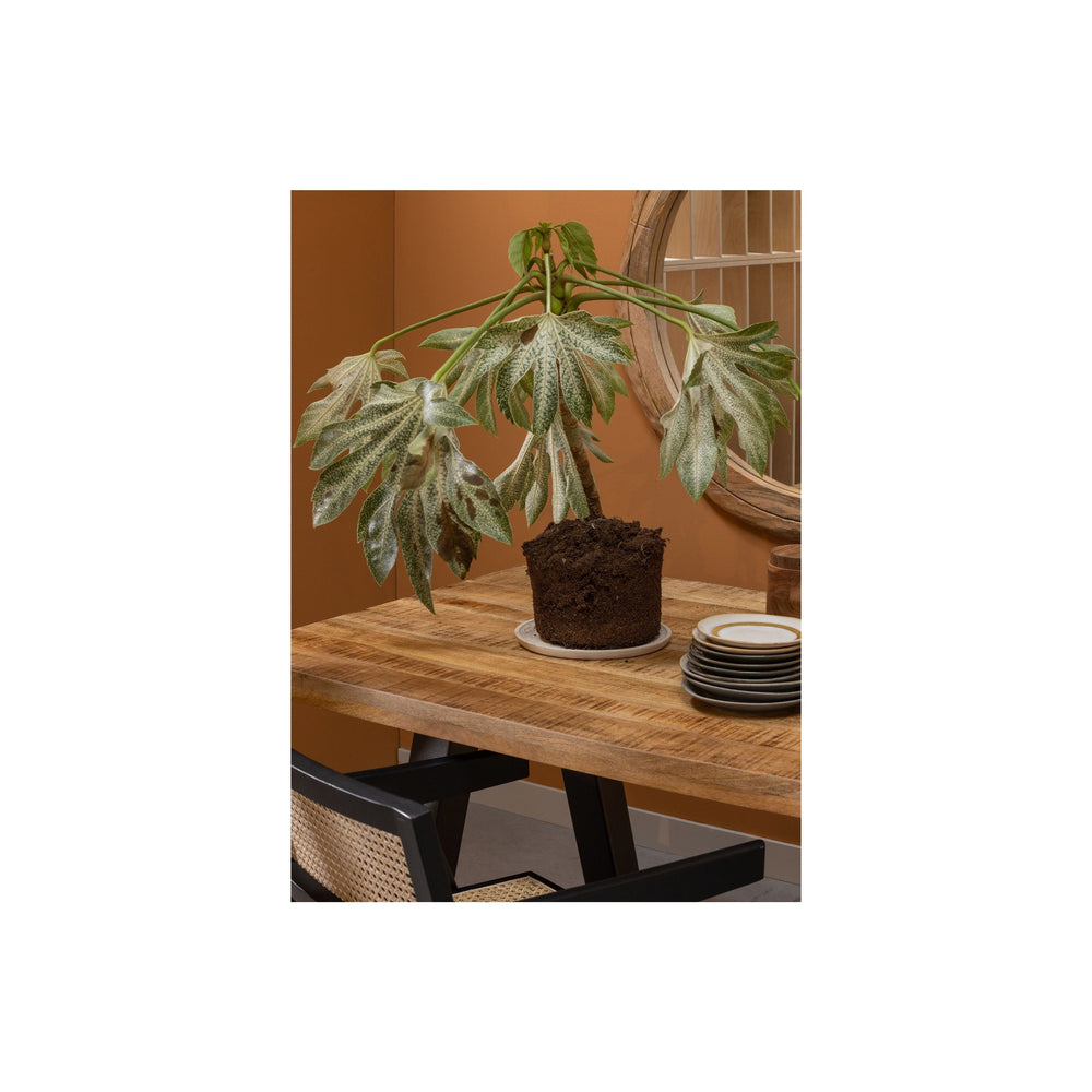 "Tablo" valgomojo stalas, mango mediena, natūrali, melanžas, 200x90