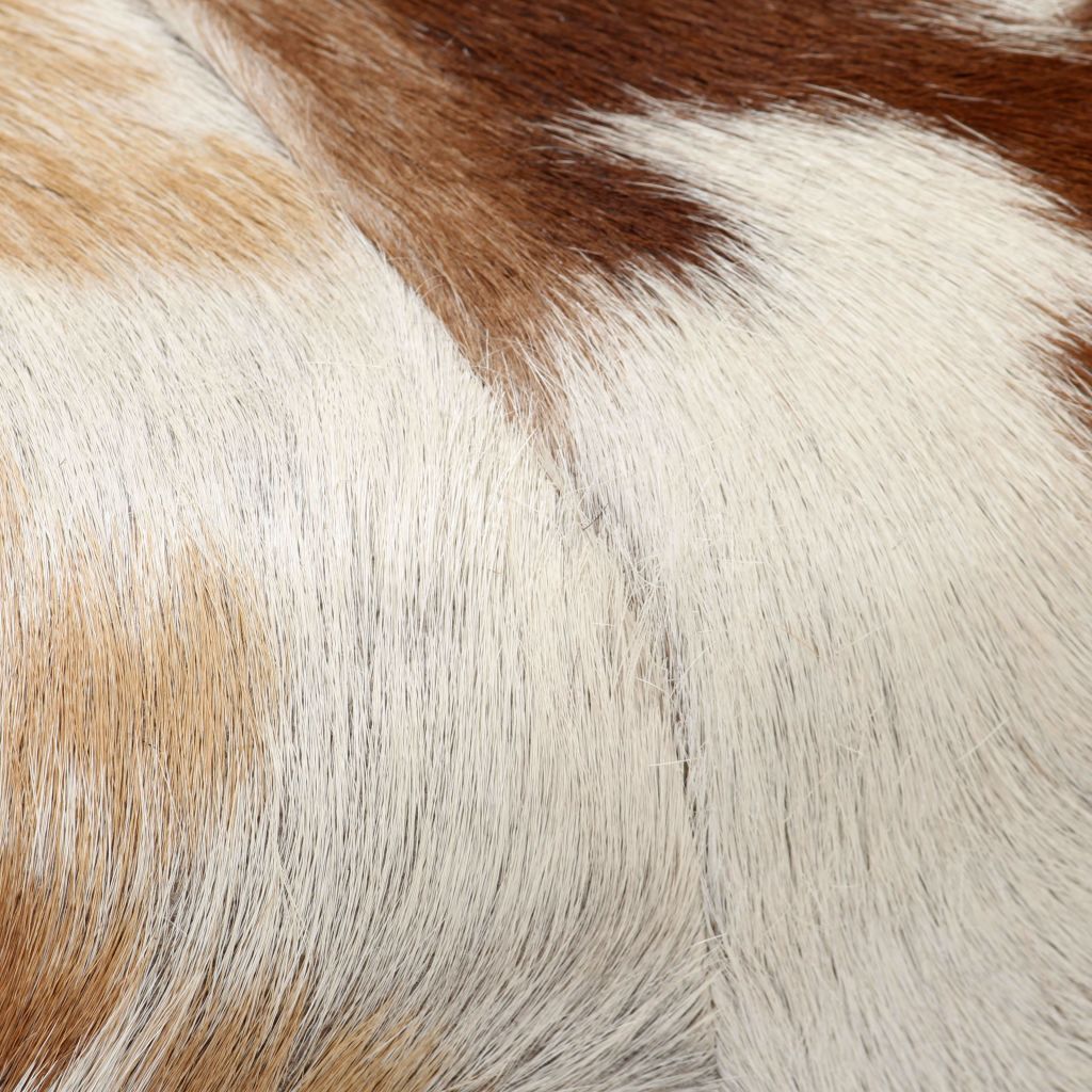 Taburetė, tikra ožkos oda, 40x30x45 cm