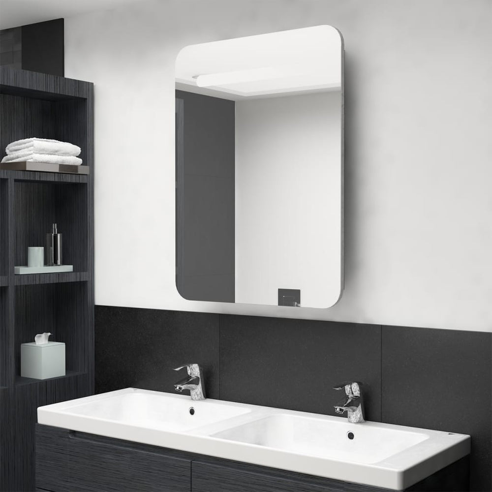 Veidrodinė vonios spintelė su LED apšvietimu, pilka, 60x11x80cm