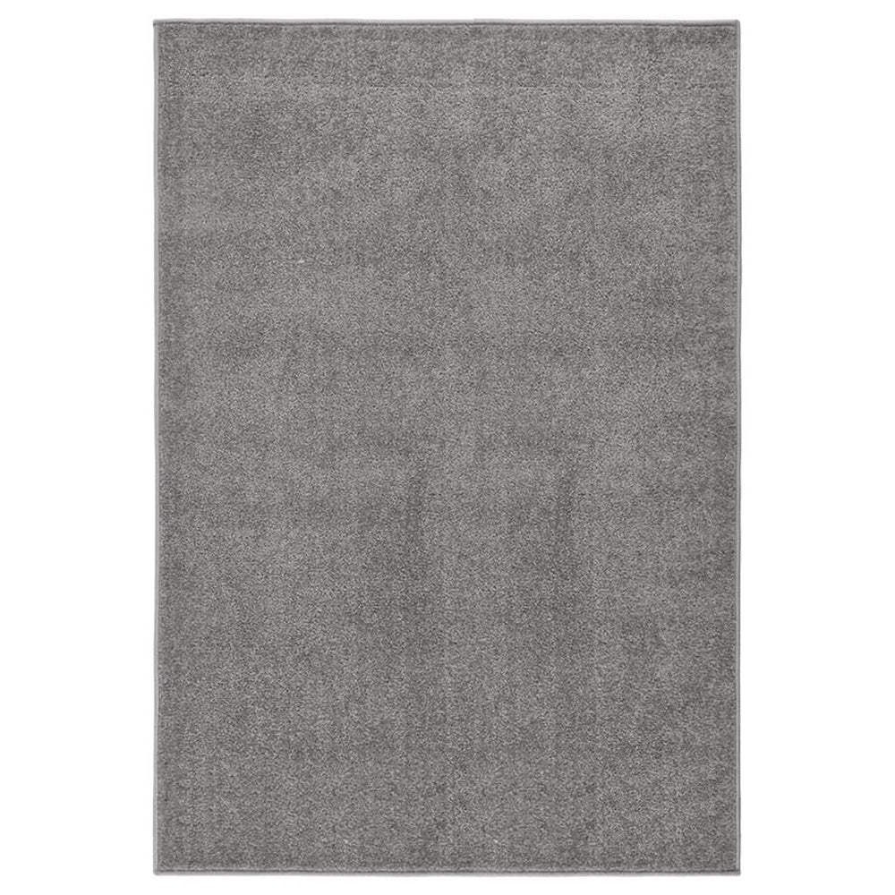 Kilimėlis, pilkos spalvos, 160x230cm, trumpi šereliai