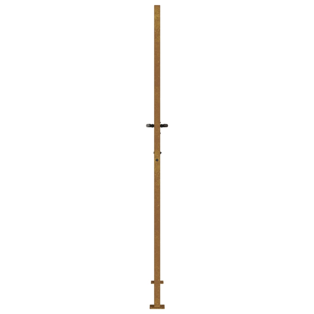 Sodo vartai, 105x205cm, corten plienas, žolės dizaino