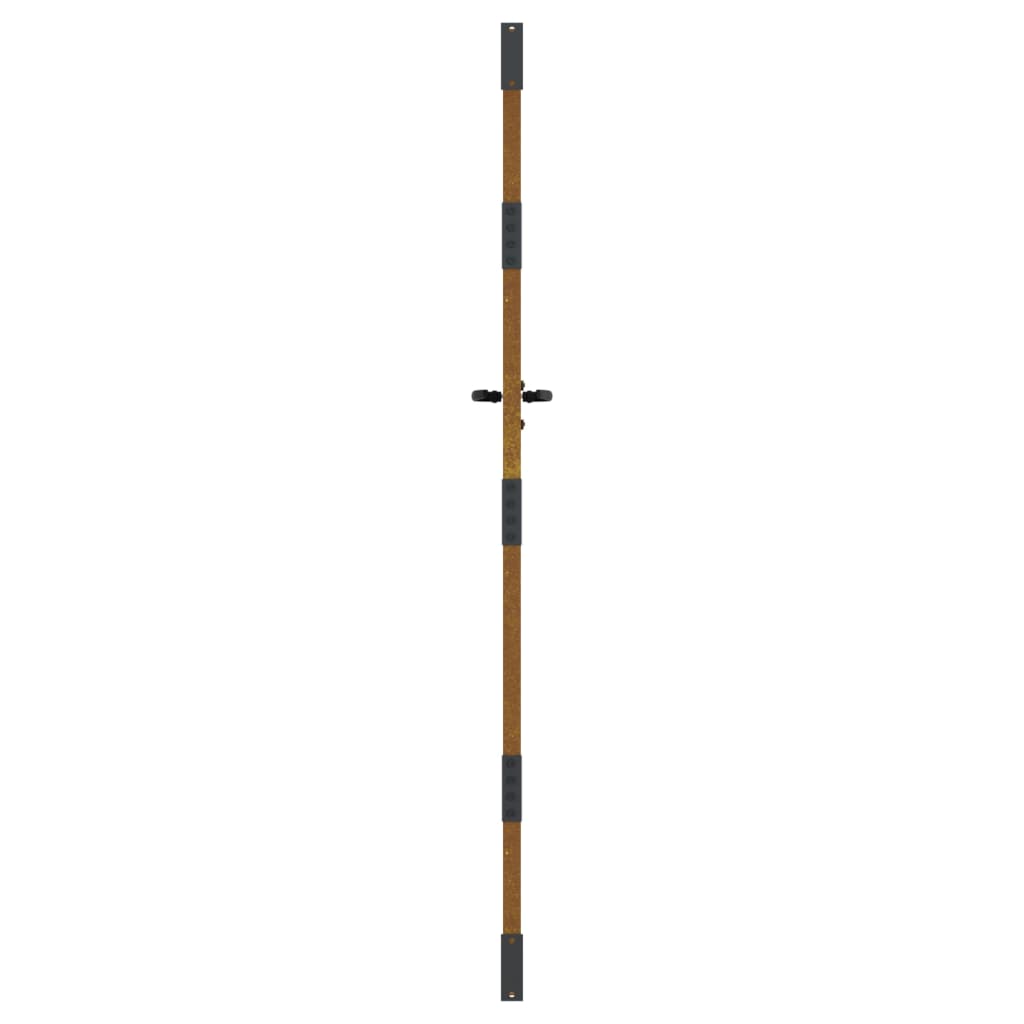 Sodo vartai, 85x200cm, corten plienas