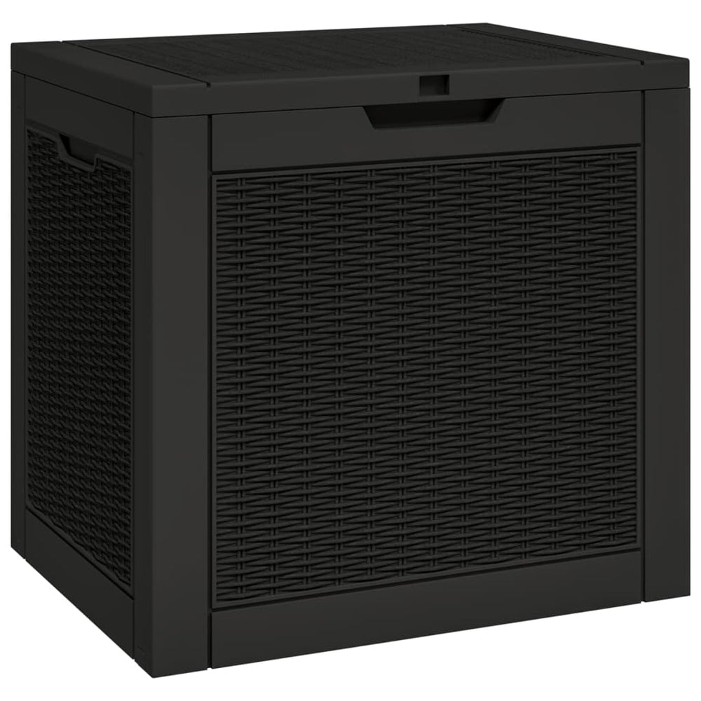 Lauko daiktadėžė, 55,5 cm., polipropilenas